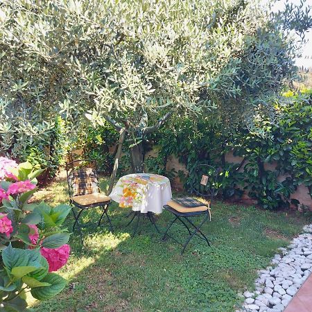 Appartamento Alida Umago Esterno foto