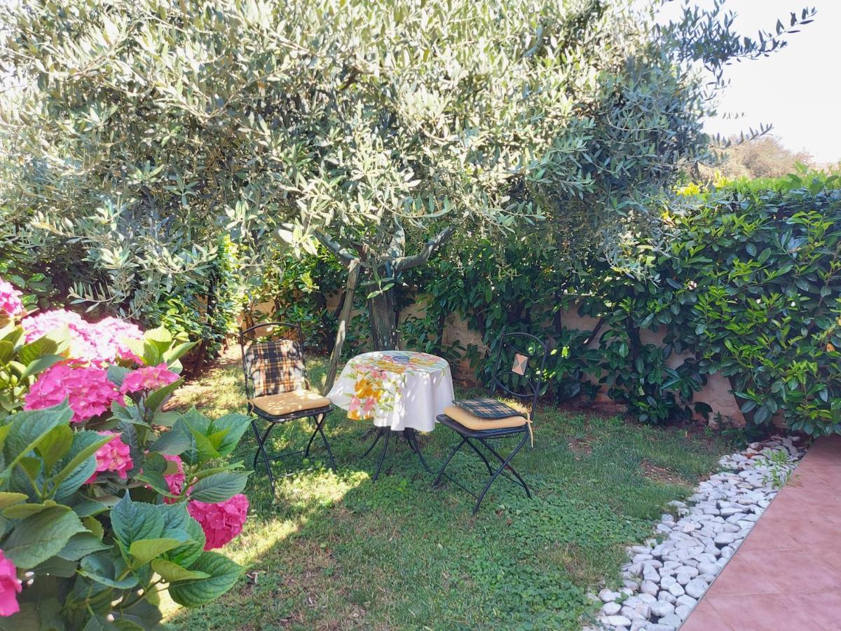 Appartamento Alida Umago Esterno foto
